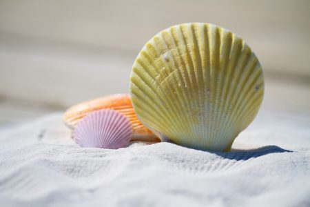ergonomic blog