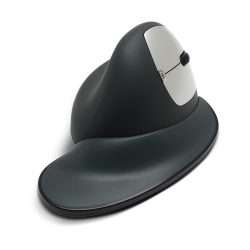 Semi-Vertical Mouse at Applied Ergonomics Conference