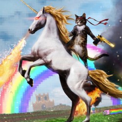 Welcome to the Internet